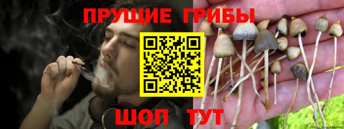 Псилоцибиновые грибы ЛСД Ессентуки