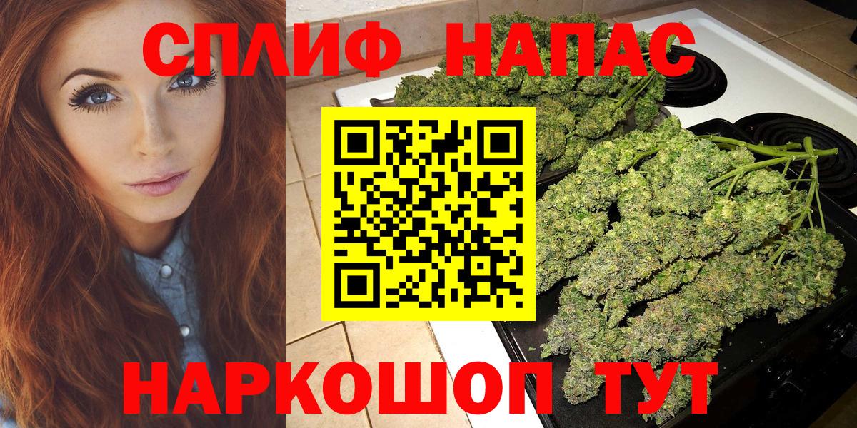 Конопля конопля Ессентуки